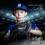 Baseball Portraits - Fenced In