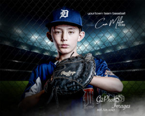 Baseball Portraits - Fenced In